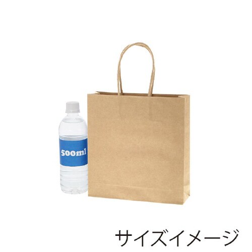 スムースバッグ 22−06 未晒無地 25枚×12