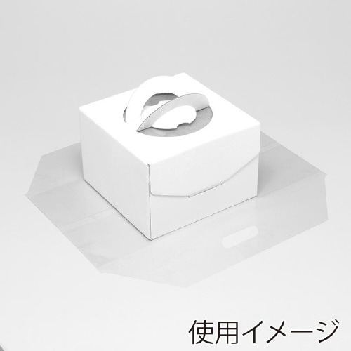 LDラップルバッグ L 透明 表記入 50枚×10