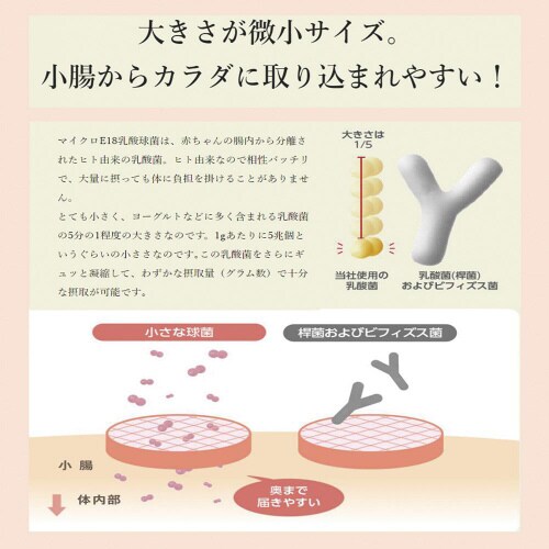 いなば食品 3000億個すごい乳酸菌ドリンク50個
