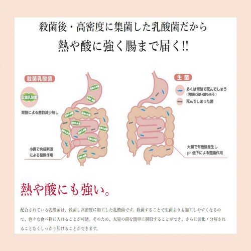 いなば食品 3000億個すごい乳酸菌ドリンク50個