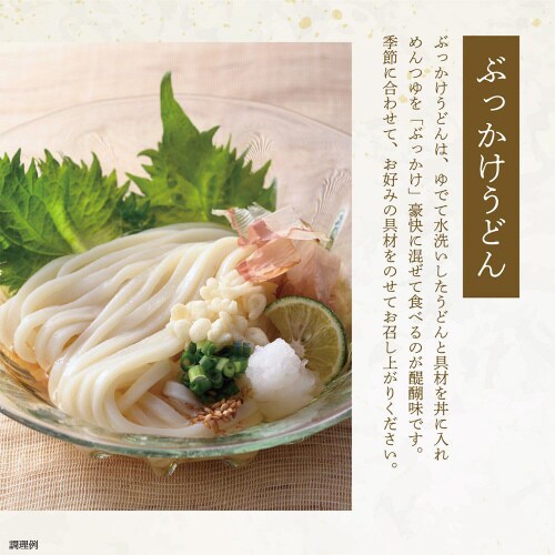 石丸製麺 半生讃岐うどん 包丁切り 300g×6個