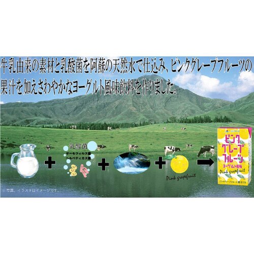 らくのうマザーズピンクグレープFヨーグルト24本