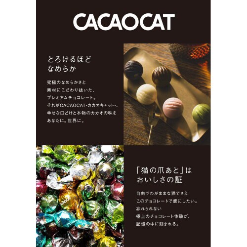 DADACA CACAOCAT ストロベリー10個