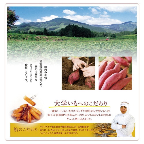 【冷凍】日本食品開発促進国産さつまいも大学芋10個