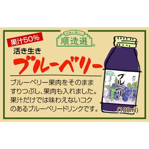 マルカイ 順造選 ブルーベリー 180ml×20個