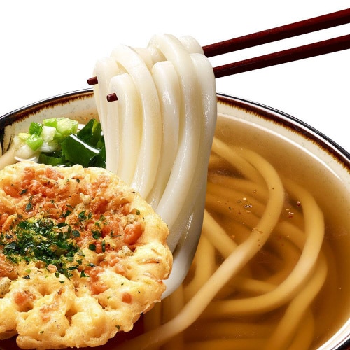【冷蔵】日清 日清のごんぶと 天ぷらうどん6個