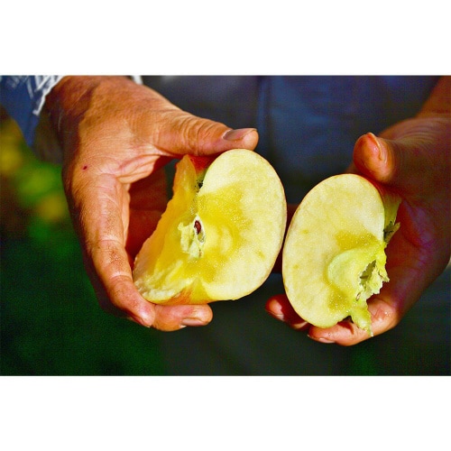 マルカイ 順造選 すりおろしりんご1000ml6個