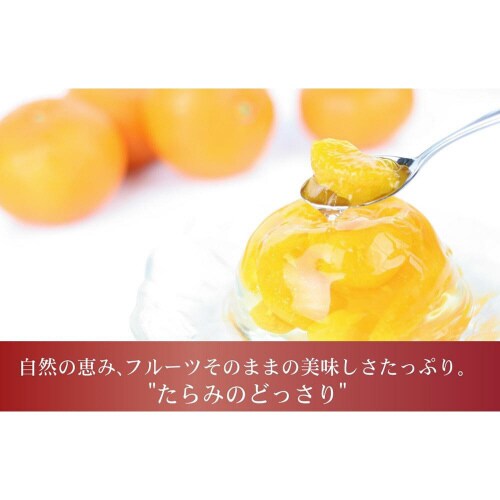 たらみ たらみのどっさり みかん 230g×48個