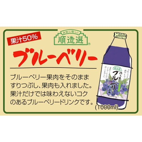 マルカイ 順造選 ブルーベリー1000ml×6個