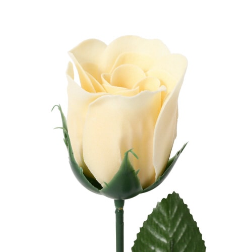 ローズ バスペタル イエロー×7