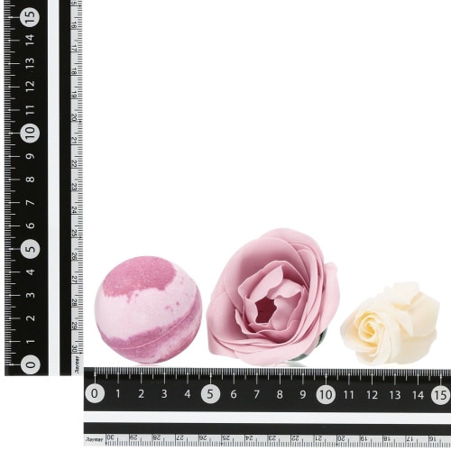 カドミニョン フィズ&ペタル ラウンド ピンク×2