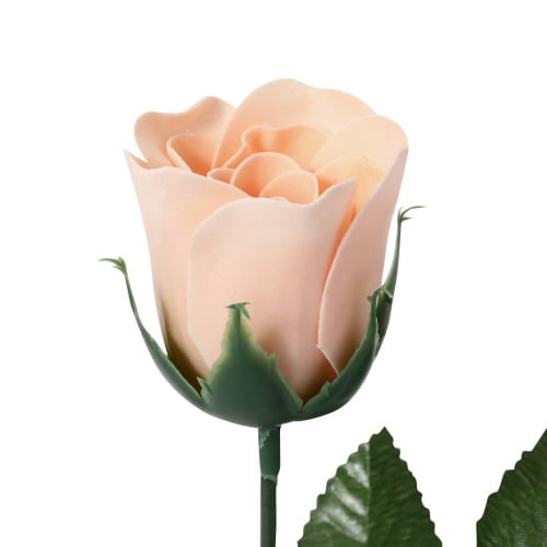 ローズ バスペタル ライトピンク×7