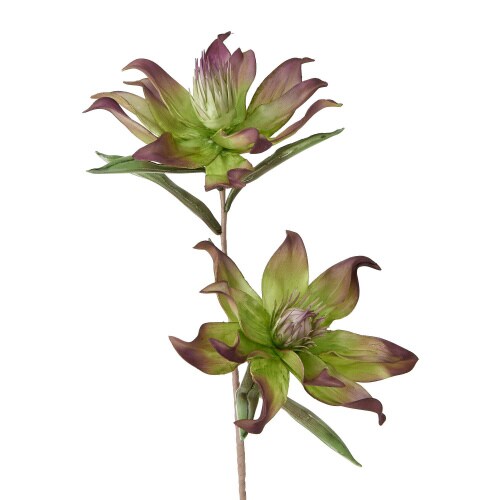 アートプランツ ドラセナ グリーン×6