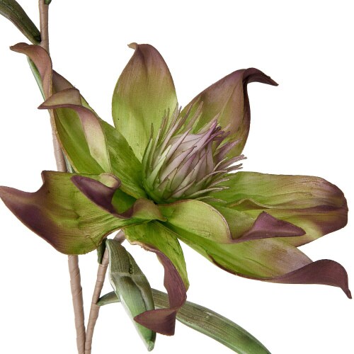 アートプランツ ドラセナ グリーン×6