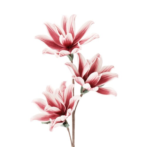 アートプランツ フラワー レッド×4