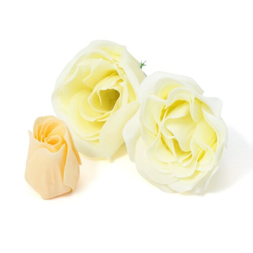 フィズ&ペタル ラウンド グリーン×2