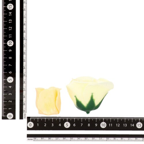 バスペタル ライトグリーン(入浴剤)×2