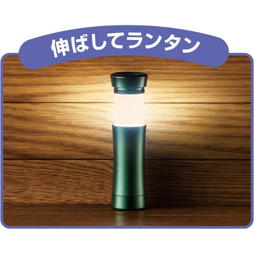 LEDランタン付きライト モスグリーン