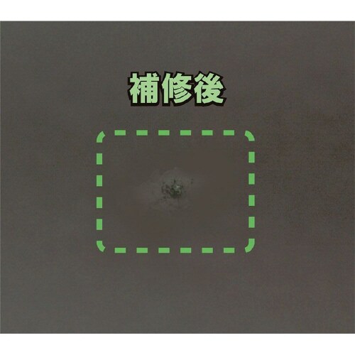 プロ ウインドリペア システムセット