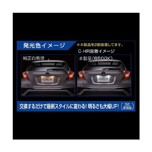 LEDライセンス R100T 6500K 1P