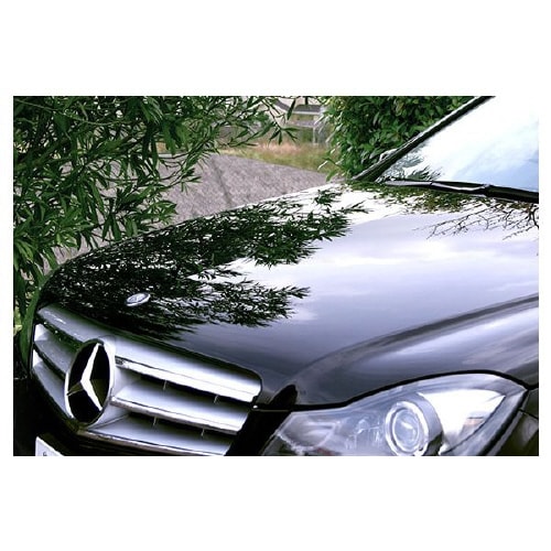 カーシャンプー 銀極(ギンノキワミ)シャンプー 自