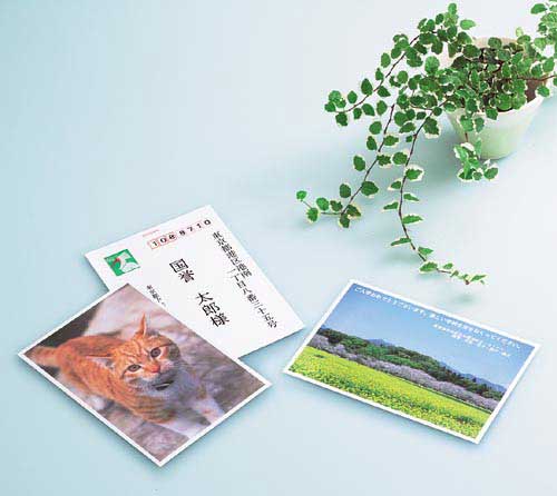 IJP用はがきサイズ光沢 郵便番号枠なし 30枚