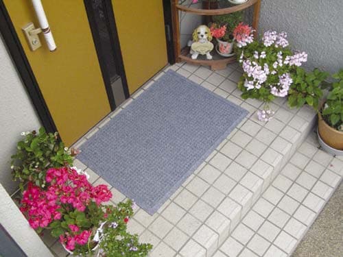 ウォーターホース 62×88 ライトグレー