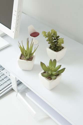 人工植物 多肉植物3種セット