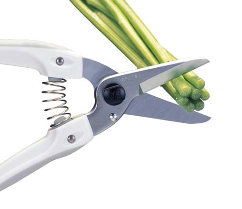 アルス ファミリーデラックス