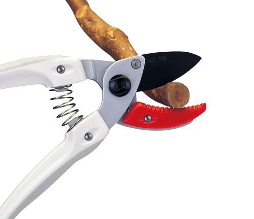 アルス アンビルタイプ ミニエース