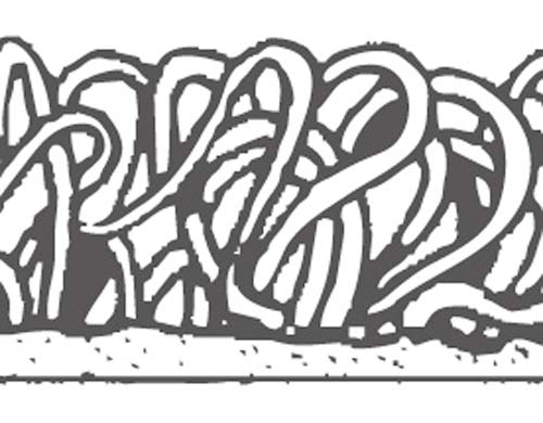 Rl@m[}bh@X^_[h@NbV