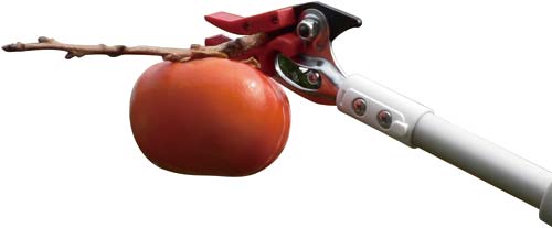 超軽量伸縮式高枝鋏ライトチョキズ―ム