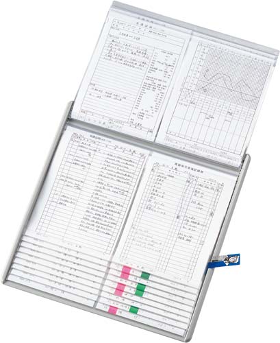 カラーカードインデックス緑11P