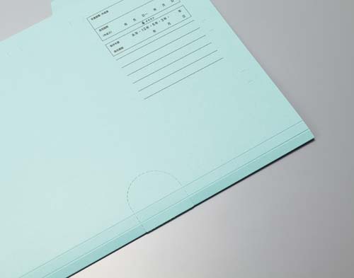 個別フォルダー閲覧タイプ ブルー 10枚