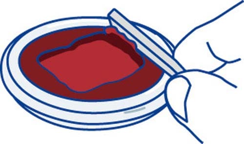 鯱旗朱肉 書画落款用