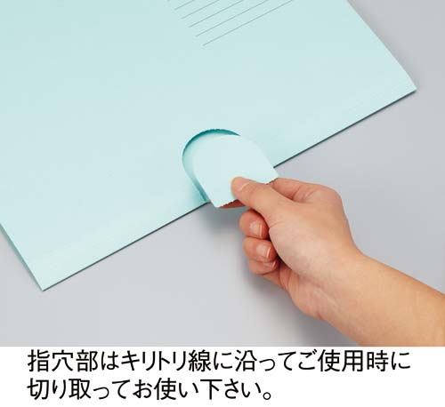 個別フォルダー閲覧タイプ ブルー 10枚