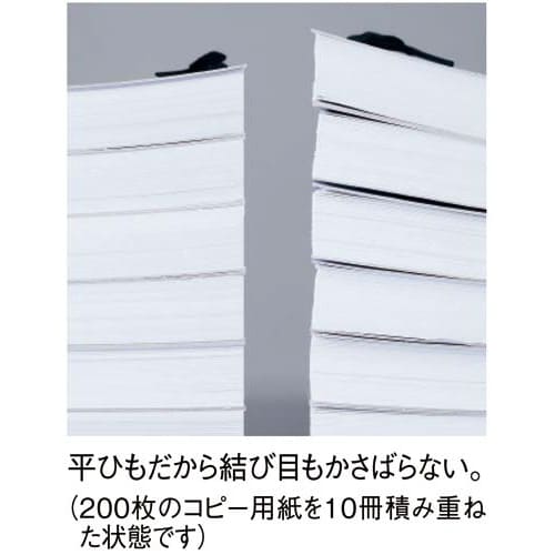 つづりひもセル先450mm平ひもタイプ100本入