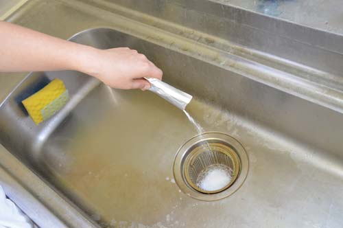 業務用チョウバエバスター 25g×10包