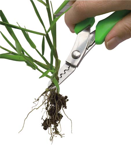 草抜きニッパー