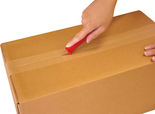 開封のこ カイちゃん