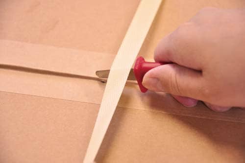 開封のこ カイちゃん