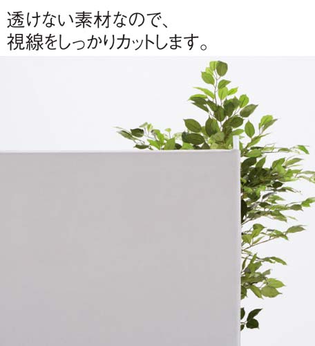 Vvpl