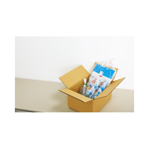 規格袋13号 厚み0.03mm 100枚