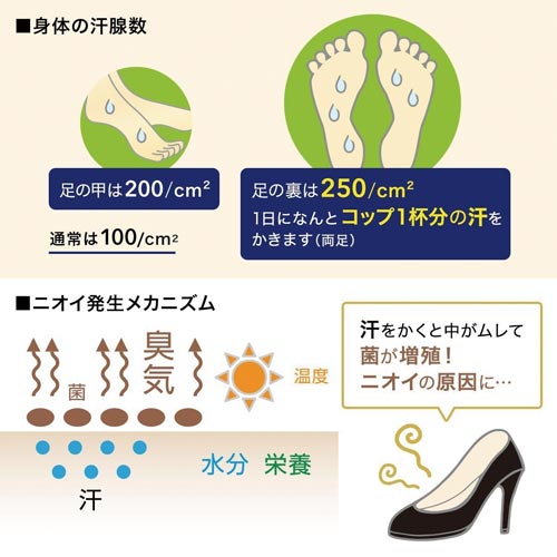 ドクター・ショール 消臭抗菌靴スプレー 150ML