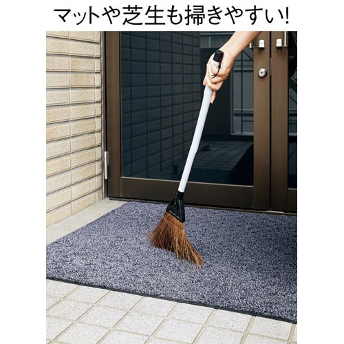 交換時期がわかるシダほうき短柄 10本