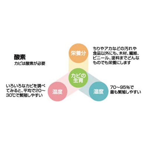 強力カビハイター 本体 400ml