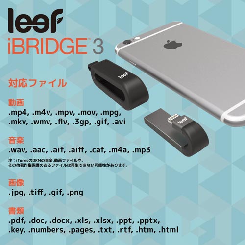 leef LIB000KK032E6 Leef iBRIDGE モバイルメモリ