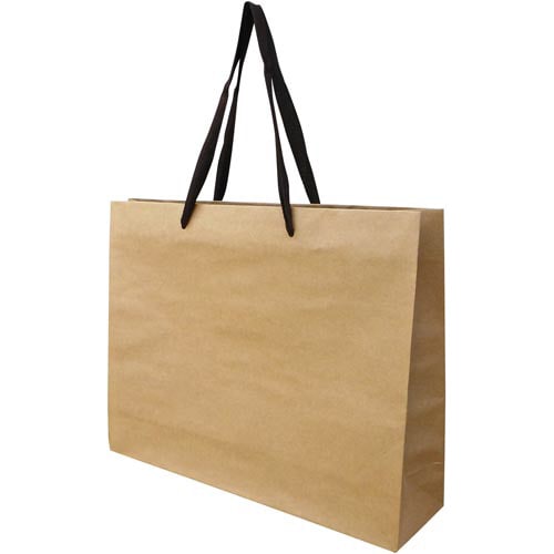 クラフトバッグ 平紐 L 10枚