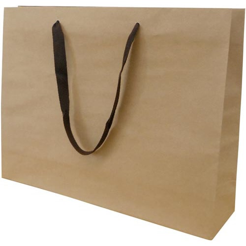 クラフトバッグ 平紐 L 10枚