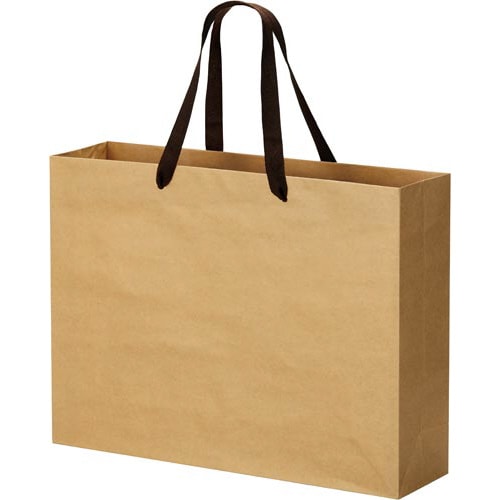 クラフトバッグ 平紐 L 10枚